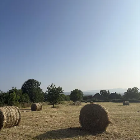 فندق مبيت وإفطار Domaine De Py